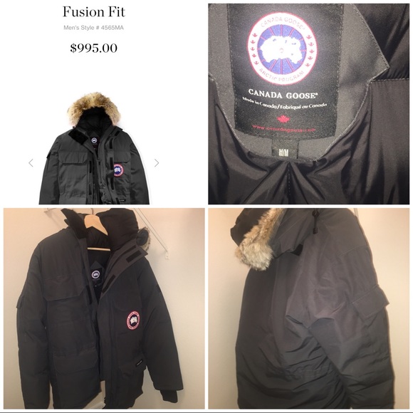 canada goose branta elliston canada goose branta elliston
